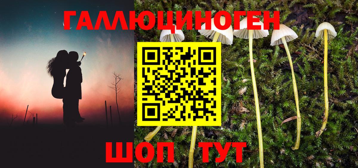 Псилоцибиновые грибы мухоморы  Вход с VPN  Псков 