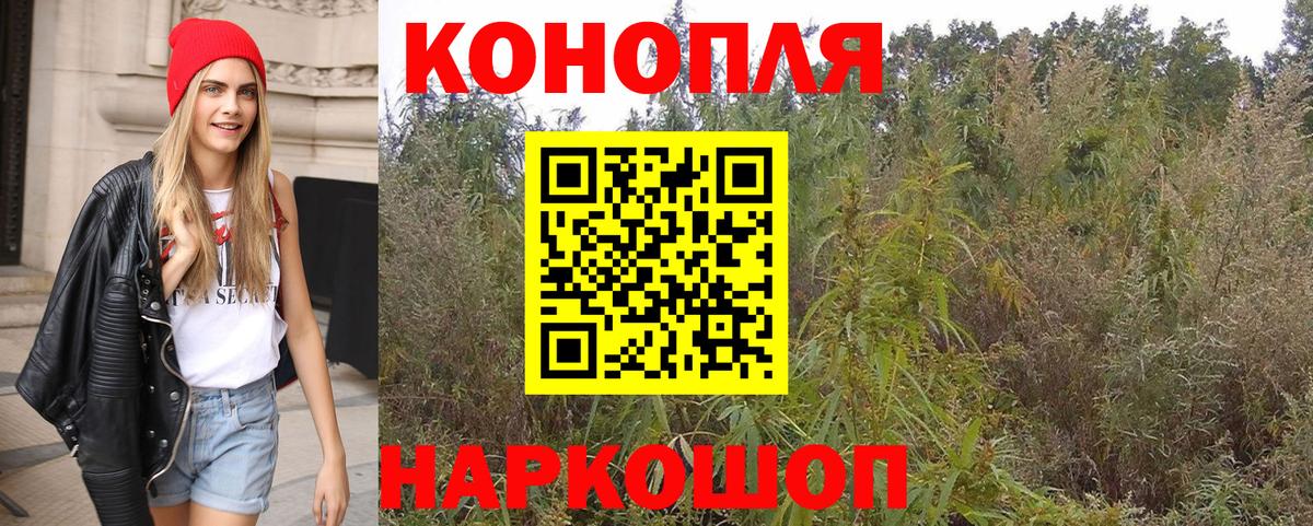Марихуана конопля Псков